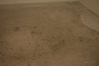 Yucky Carpet