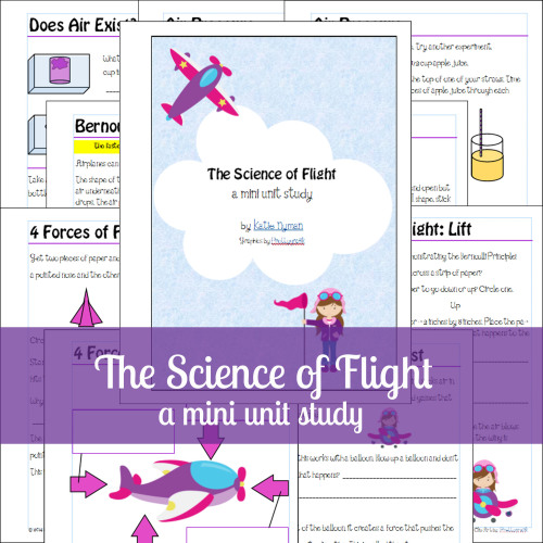 Science of Flight - mini unit study