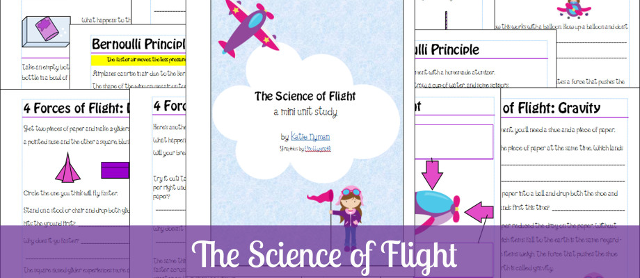 The Science of Flight Unit Study